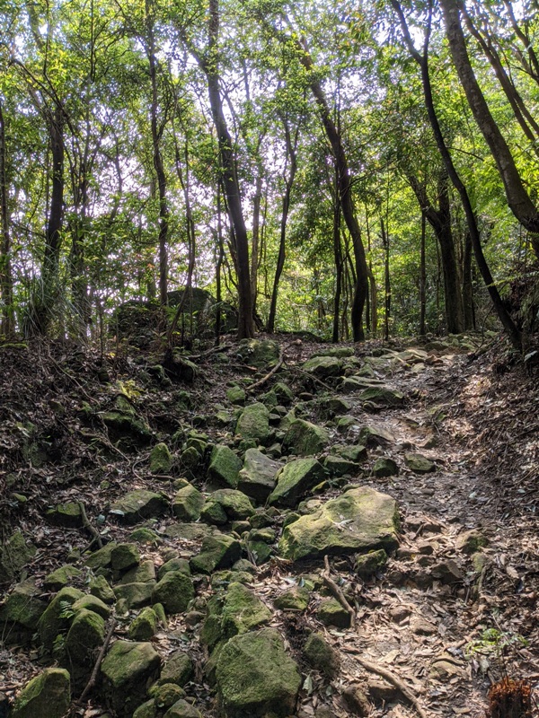 xinshandreamlake44 汐止-新山夢湖 青山綠水 輕鬆登山健行拍美照
