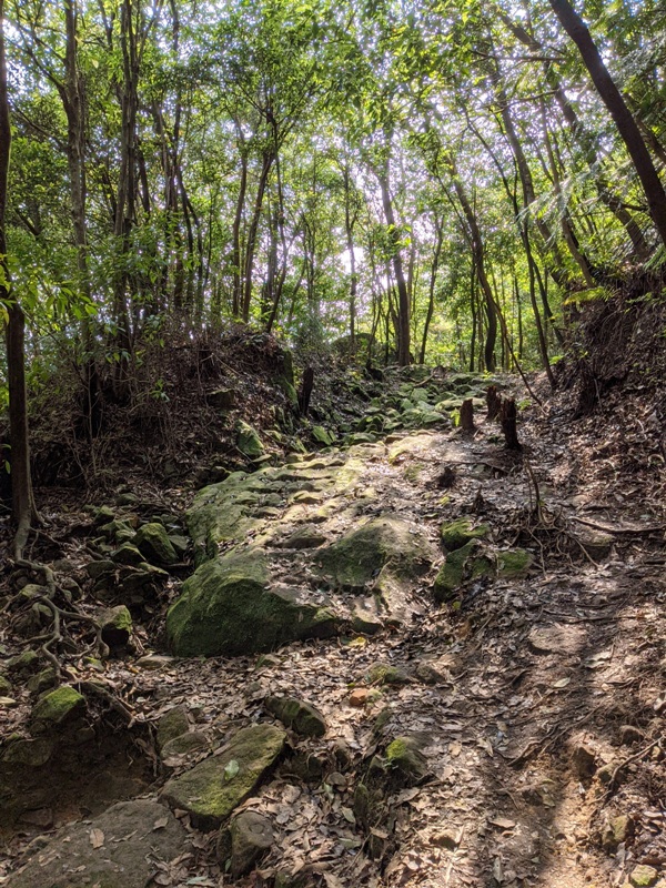 xinshandreamlake45 汐止-新山夢湖 青山綠水 輕鬆登山健行拍美照
