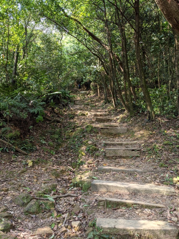 xinshandreamlake46 汐止-新山夢湖 青山綠水 輕鬆登山健行拍美照