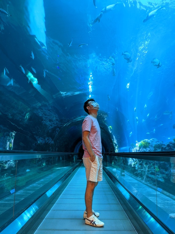 aquarium01 車城-海生館 艷陽天最好去處 吹冷氣賞鯨豚 感受海底風情