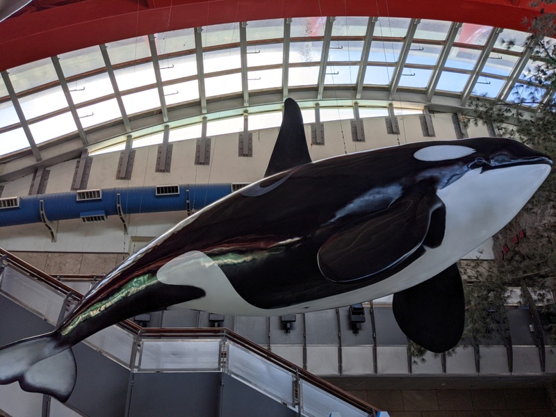 aquarium02 車城-海生館 艷陽天最好去處 吹冷氣賞鯨豚 感受海底風情