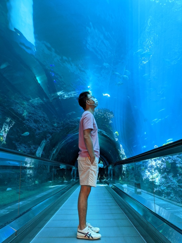 車城-海生館  艷陽天最好去處 吹冷氣賞鯨豚 感受海底風情