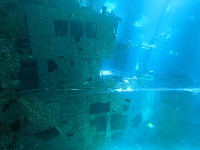 aquarium09 車城-海生館 艷陽天最好去處 吹冷氣賞鯨豚 感受海底風情