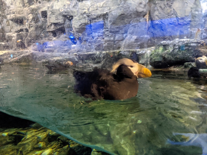 aquarium31 車城-海生館 艷陽天最好去處 吹冷氣賞鯨豚 感受海底風情