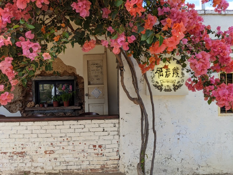 fatchun2003 恆春-肥春號 九重葛爆開人氣老宅咖啡