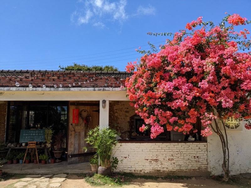 fatchun2004 恆春-肥春號 九重葛爆開人氣老宅咖啡