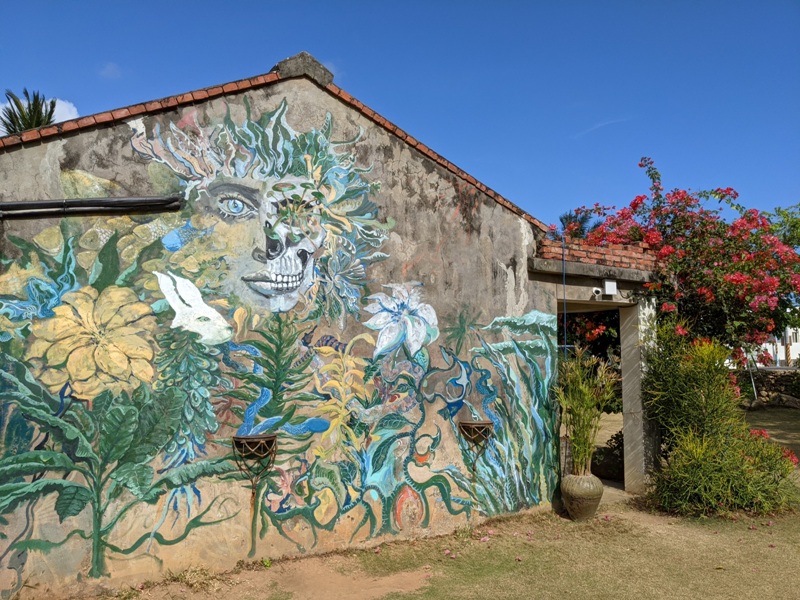 fatchun2028 恆春-肥春號 九重葛爆開人氣老宅咖啡