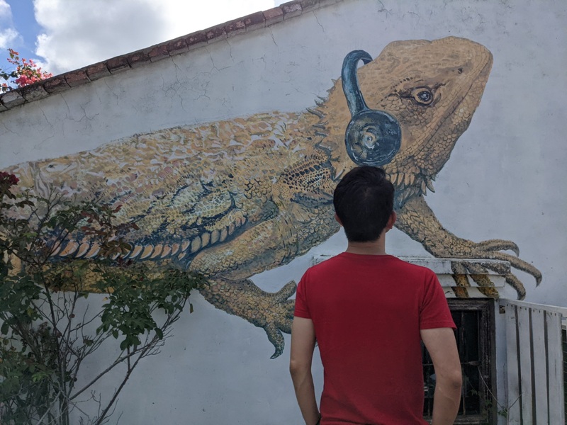 fatchun2029 恆春-肥春號 九重葛爆開人氣老宅咖啡