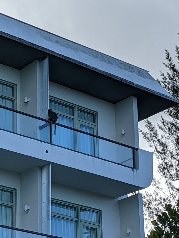 gloriamanor60 恆春-華泰瑞苑 蔣公行館 看海見山好美好放鬆