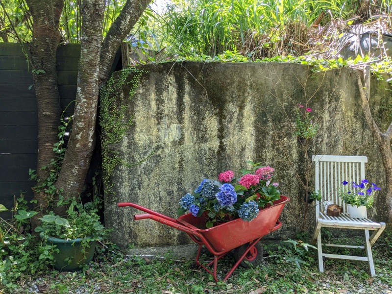 montmartre03 士林-蒙馬特 藍天綠樹流水聲 美不勝收超好拍