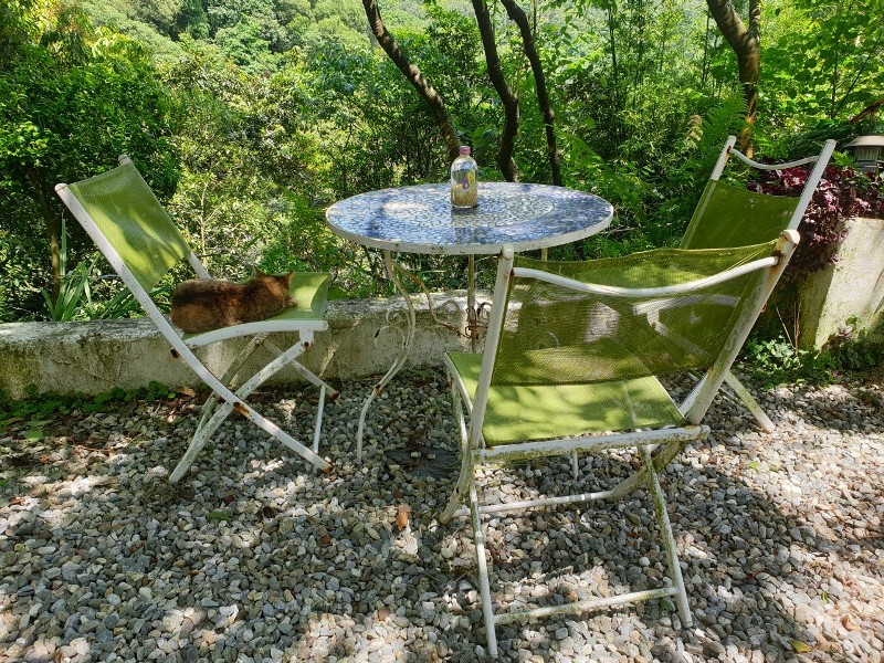 montmartre26 士林-蒙馬特 藍天綠樹流水聲 美不勝收超好拍