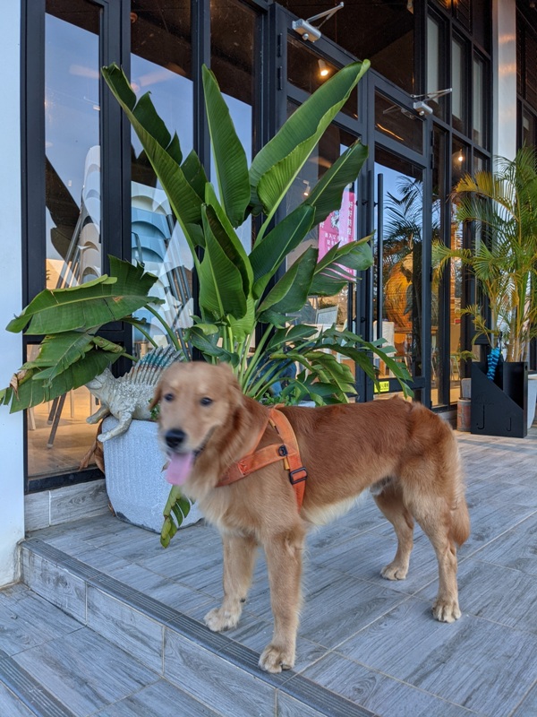 sannan40 恆春-山男咖啡 無敵海景絕美落日