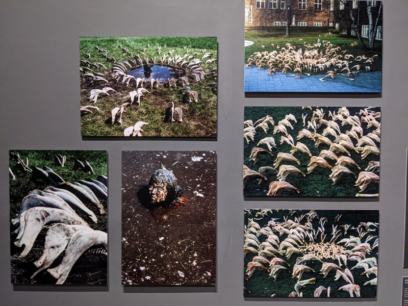 shiota12 士林-塩田千春 顫動的靈魂 疫情中也有好展覽在北美館