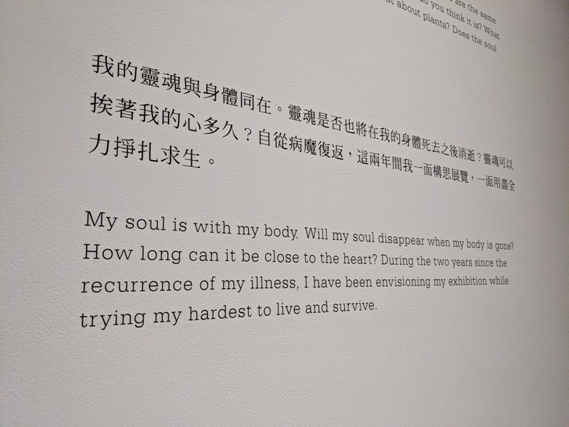 shiota35 士林-塩田千春 顫動的靈魂 疫情中也有好展覽在北美館