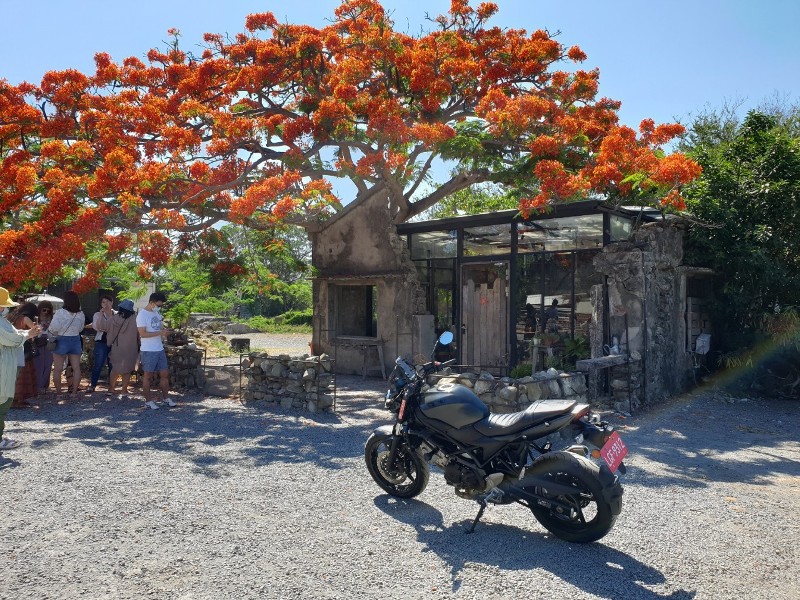 underthetreecafe411113302 恆春-樹夏飲事 廢墟玻璃屋 火紅鳳凰花 屋美咖啡讚