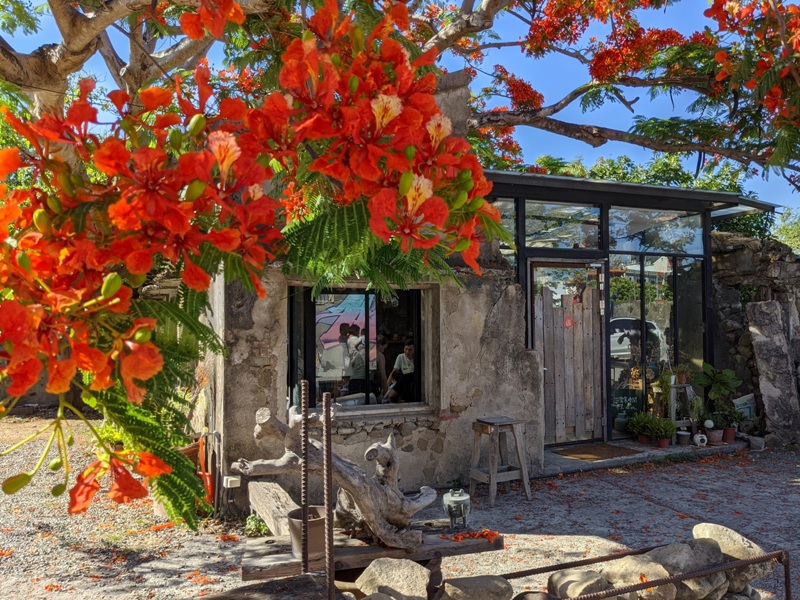 underthetreecafe411113310 恆春-樹夏飲事 廢墟玻璃屋 火紅鳳凰花 屋美咖啡讚