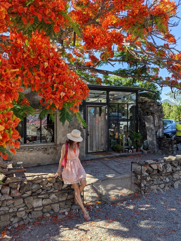 underthetreecafe411113311 恆春-樹夏飲事 廢墟玻璃屋 火紅鳳凰花 屋美咖啡讚
