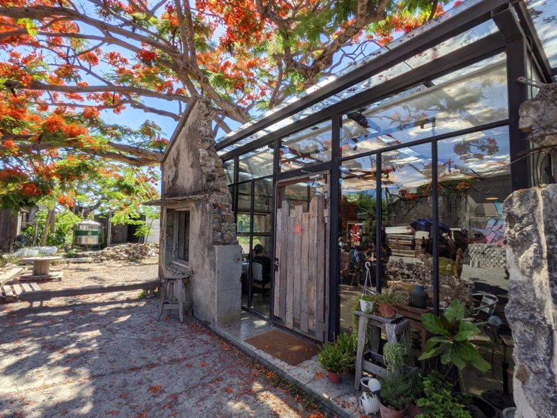 underthetreecafe411113315 恆春-樹夏飲事 廢墟玻璃屋 火紅鳳凰花 屋美咖啡讚