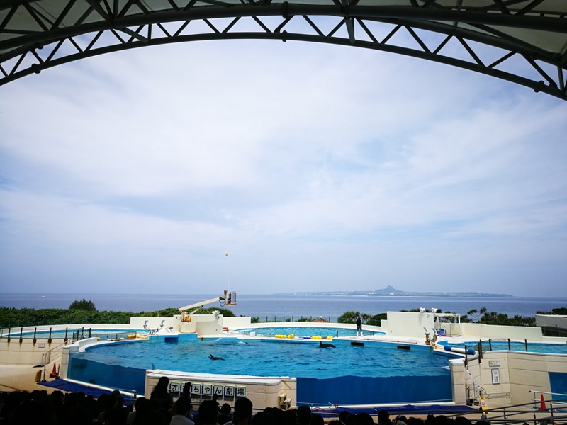 okinawaacqurium44 Okinawa-沖縄美ら海水族館 徜徉海洋世界最美的水族館在沖繩