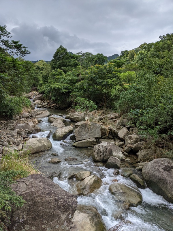 42feng02 南庄-四十二份湧泉自然生態步道 清爽宜人小秘境