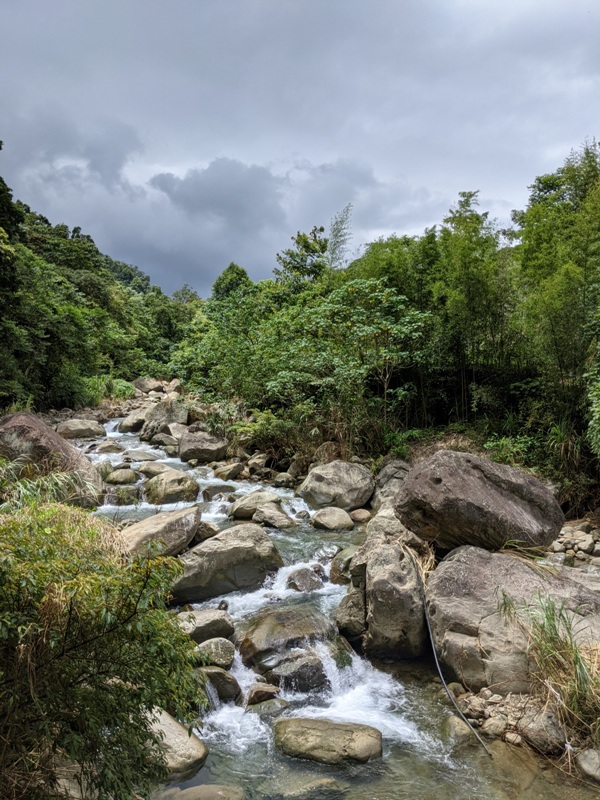 42feng04 南庄-四十二份湧泉自然生態步道 清爽宜人小秘境