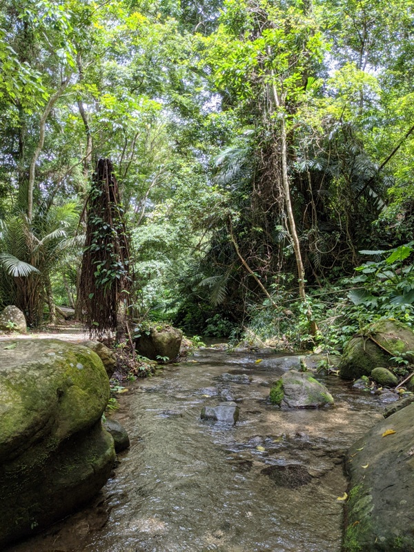 42feng05 南庄-四十二份湧泉自然生態步道 清爽宜人小秘境