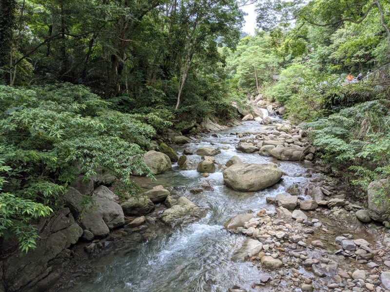 42feng15 南庄-四十二份湧泉自然生態步道 清爽宜人小秘境