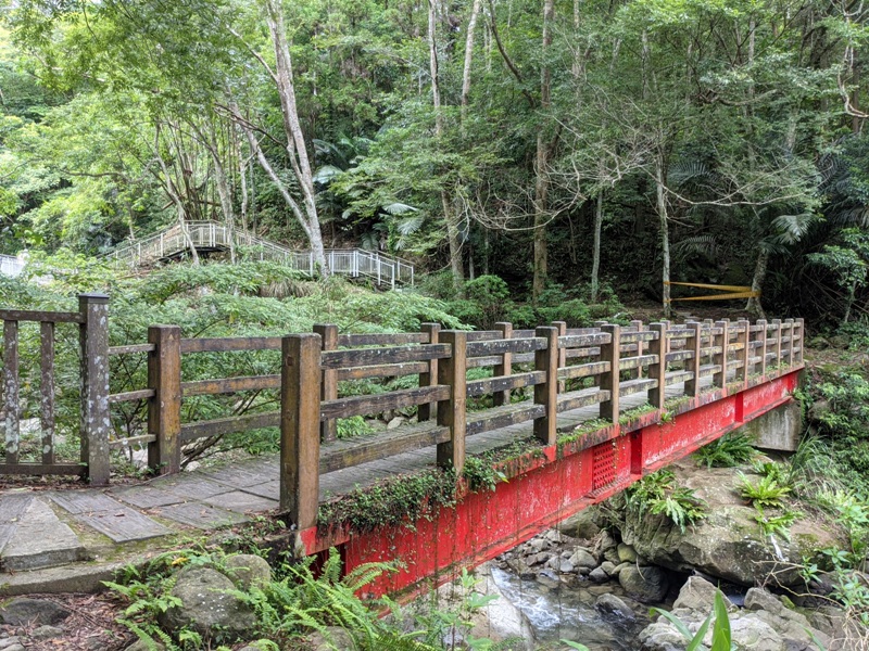 42feng17 南庄-四十二份湧泉自然生態步道 清爽宜人小秘境