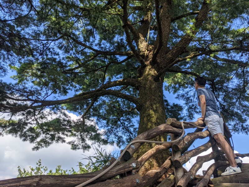 dakung0101 北屯-大坑步道2號+5號 挑戰小腿肌
