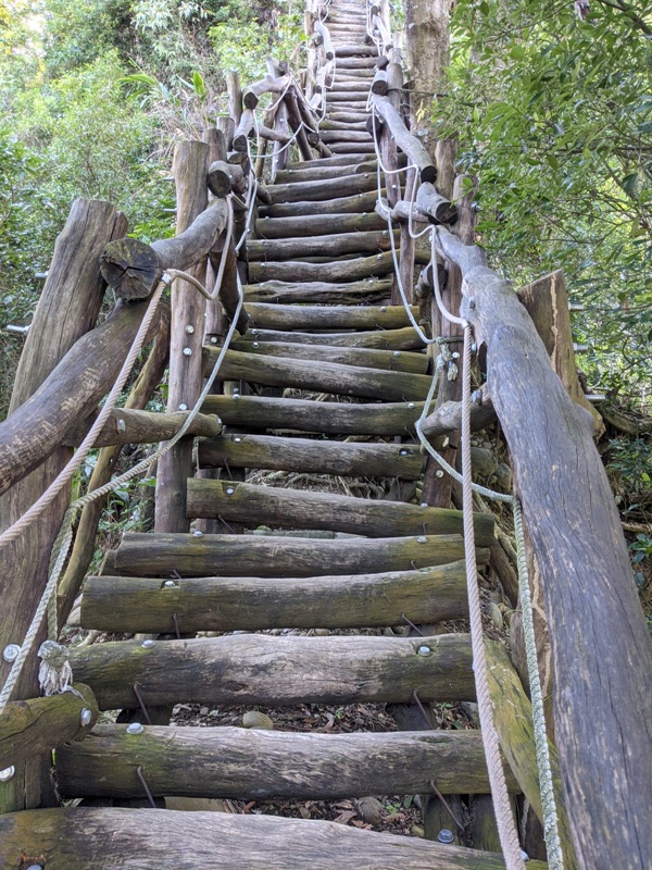 dakung0106 北屯-大坑步道2號+5號 挑戰小腿肌