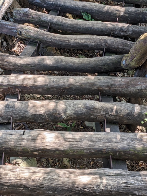 dakung0112 北屯-大坑步道2號+5號 挑戰小腿肌