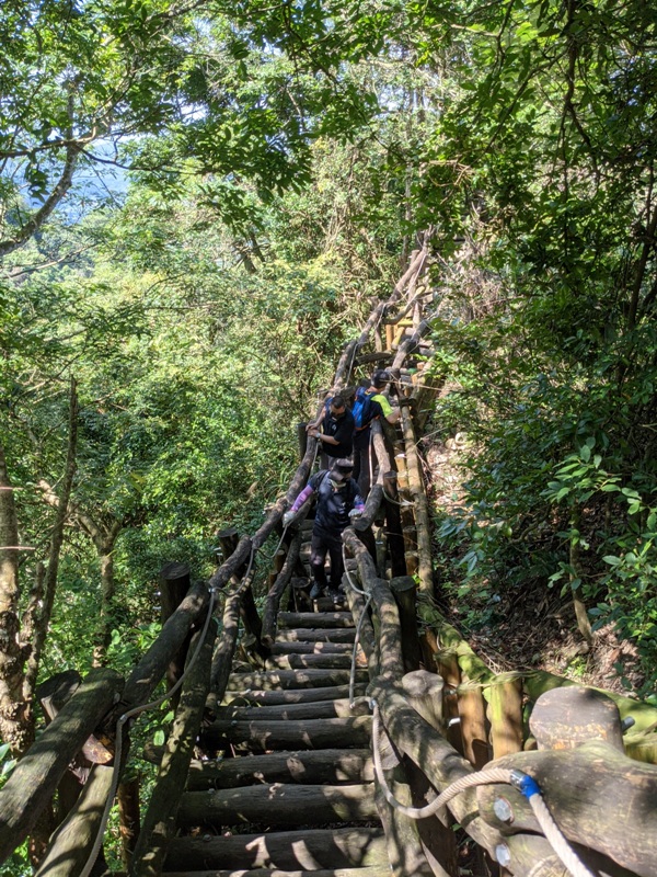 dakung0113 北屯-大坑步道2號+5號 挑戰小腿肌