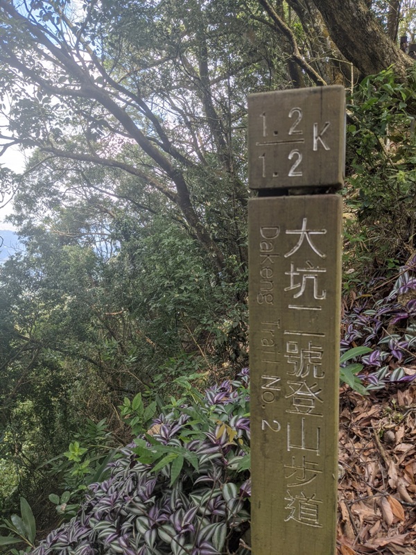 dakung0115 北屯-大坑步道2號+5號 挑戰小腿肌