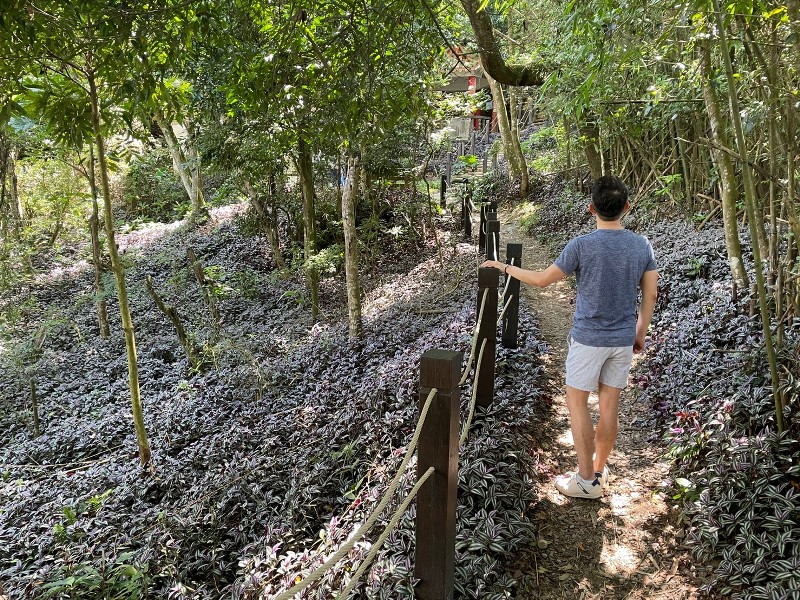 dakung0118 北屯-大坑步道2號+5號 挑戰小腿肌