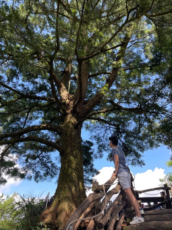 北屯-大坑步道2號+5號 挑戰小腿肌