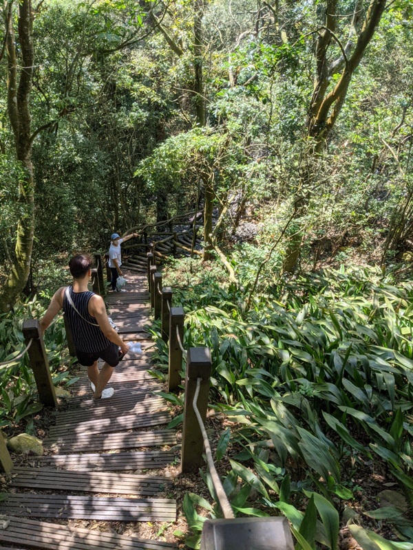 dakung0125 北屯-大坑步道2號+5號 挑戰小腿肌