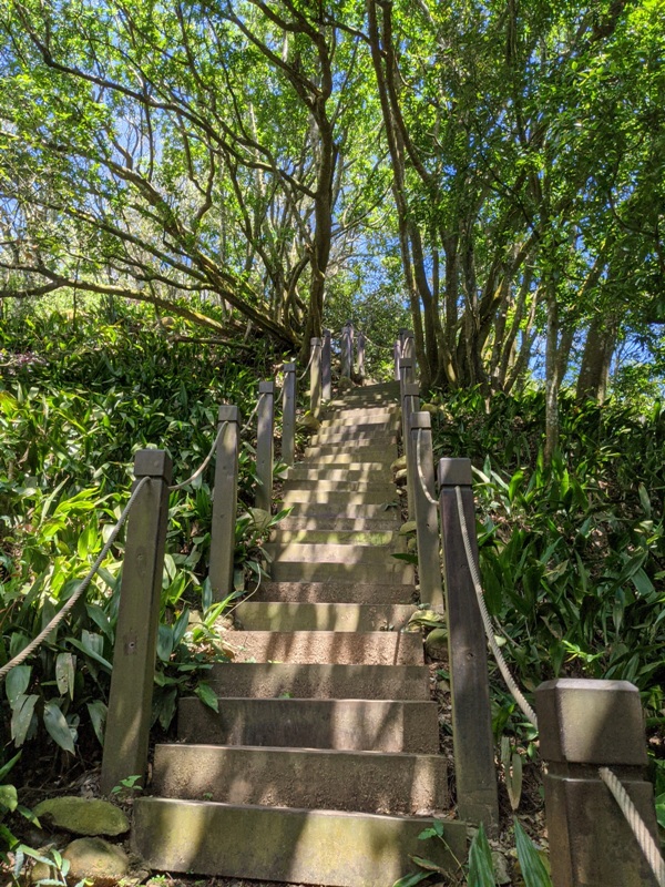 dakung0126 北屯-大坑步道2號+5號 挑戰小腿肌