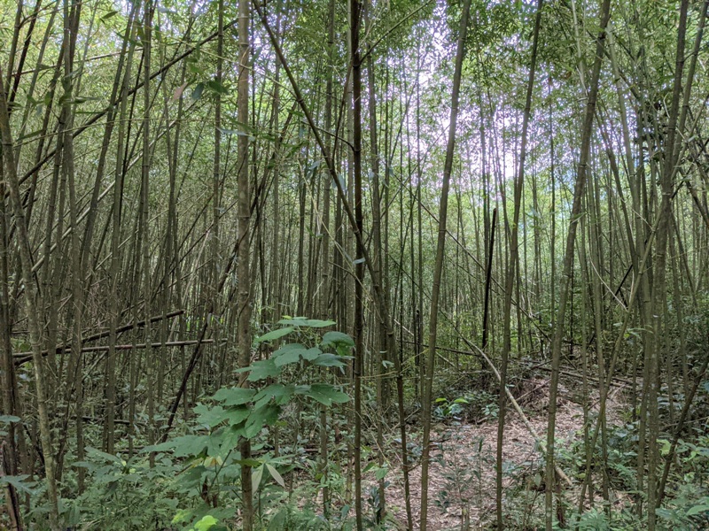 godvalley21103 南庄-神仙谷 無難度到達鬼斧神工小峽谷