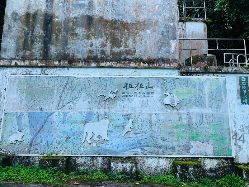 lalamt02 復興-拉拉山 與神木共舞 台灣最大的紅檜森林保護區