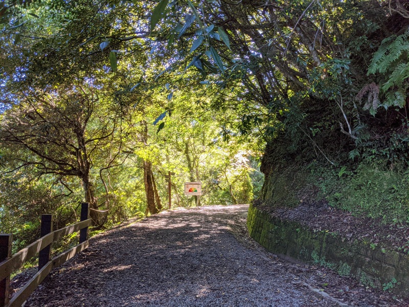 lalamt03 復興-拉拉山 與神木共舞 台灣最大的紅檜森林保護區