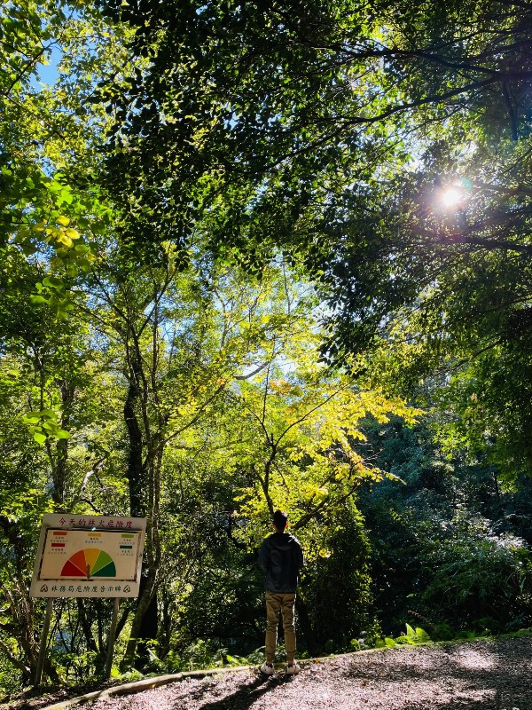 lalamt04 復興-拉拉山 與神木共舞 台灣最大的紅檜森林保護區