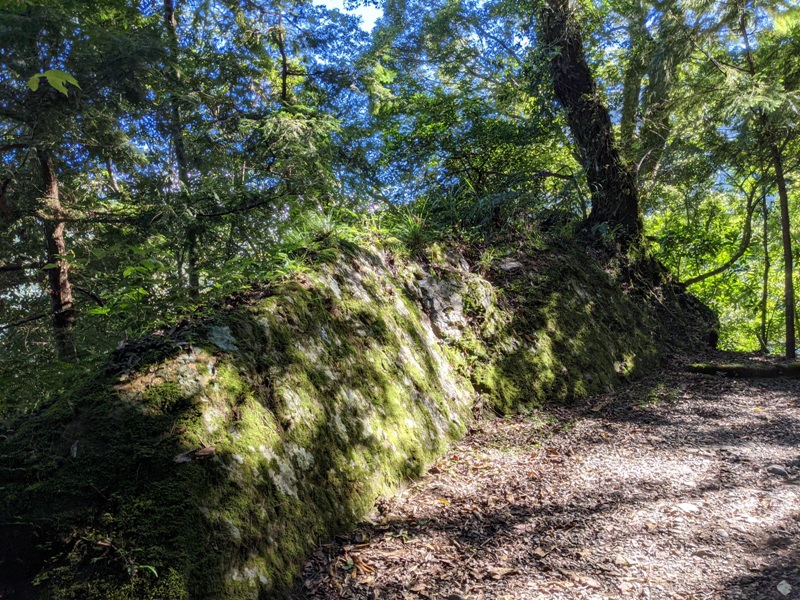 lalamt05 復興-拉拉山 與神木共舞 台灣最大的紅檜森林保護區