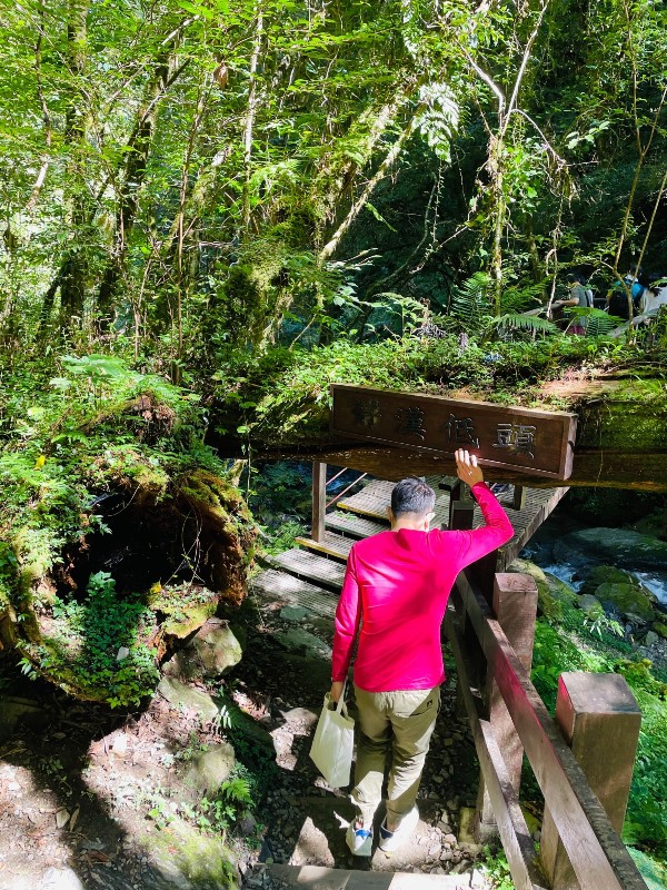lalamt26 復興-拉拉山 與神木共舞 台灣最大的紅檜森林保護區