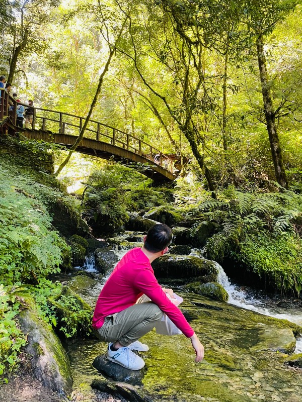 lalamt30 復興-拉拉山 與神木共舞 台灣最大的紅檜森林保護區