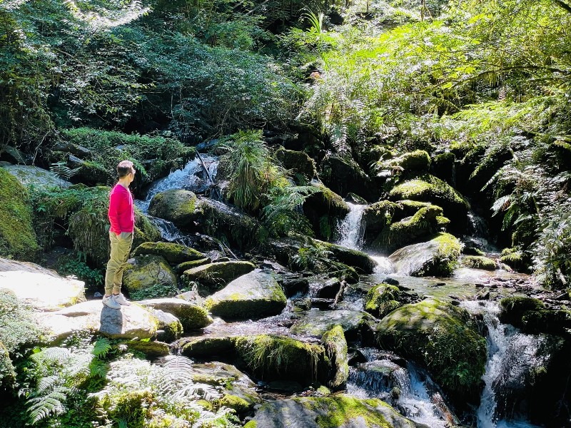 lalamt47 復興-拉拉山 與神木共舞 台灣最大的紅檜森林保護區