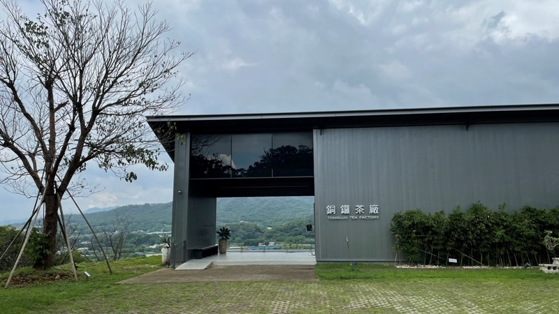 tongluoteafactory03 銅鑼-銅鑼茶廠 日式茶廠 山景茶園滿是緑意