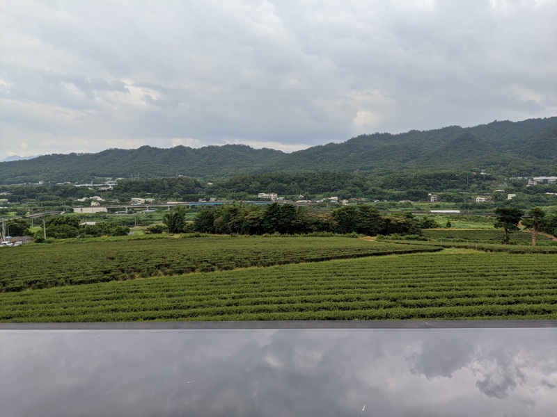 tongluoteafactory06 銅鑼-銅鑼茶廠 日式茶廠 山景茶園滿是緑意