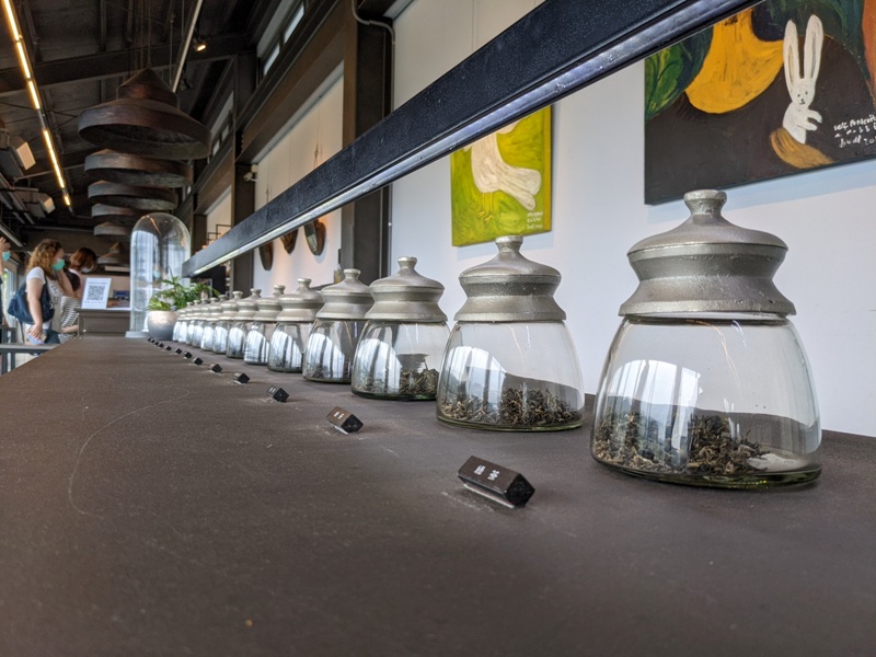 tongluoteafactory10 銅鑼-銅鑼茶廠 日式茶廠 山景茶園滿是緑意