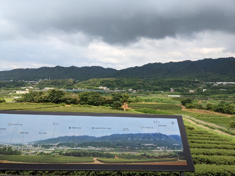 tongluoteafactory23 銅鑼-銅鑼茶廠 日式茶廠 山景茶園滿是緑意