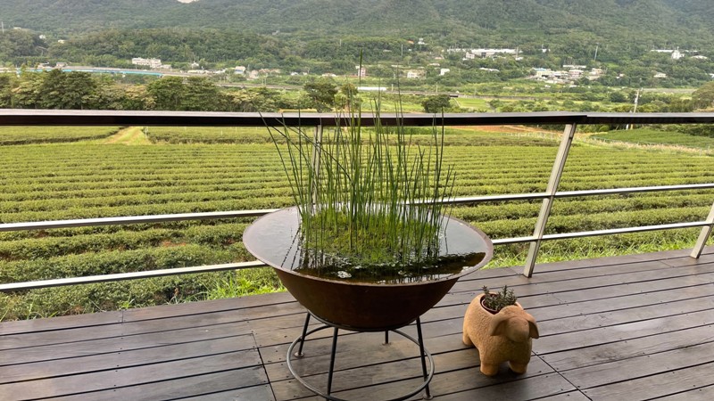 tongluoteafactory24 銅鑼-銅鑼茶廠 日式茶廠 山景茶園滿是緑意